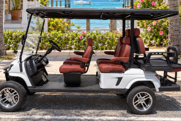 White golf cart with red seats parked near palm trees and a tropical beach backdrop.