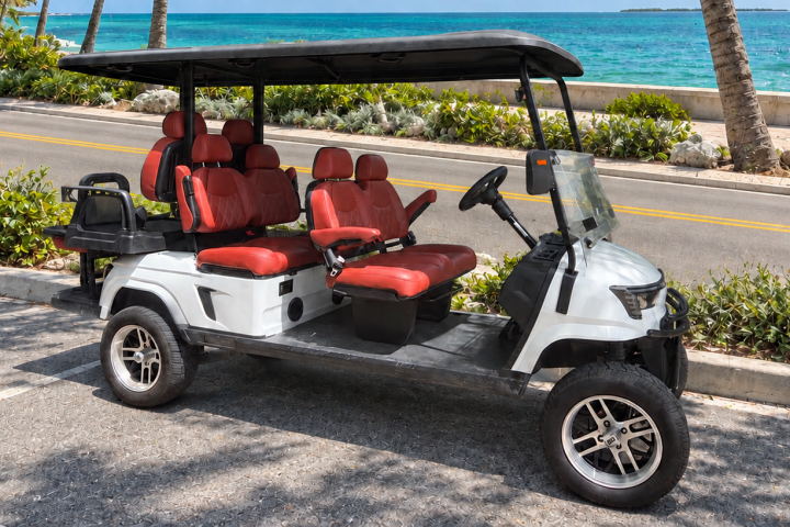 White golf cart with red seats parked by a beach road with palm trees.