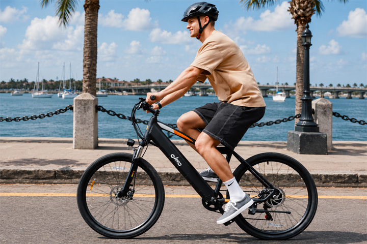 Person riding an electric bike on a waterfront street with palm trees.